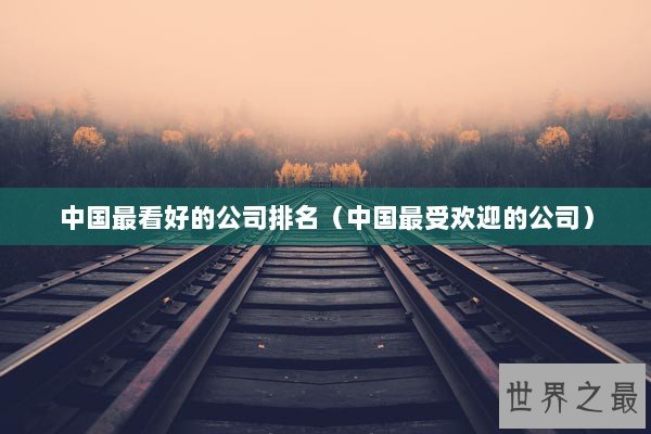 中國最看好的公司排名 管理的藝術與市場的認可